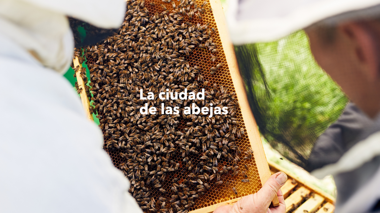 Apípolis la ciudad de las abejas